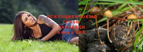 не бодяженный Волоколамск