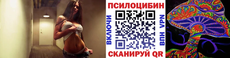 Псилоцибиновые грибы GOLDEN TEACHER  Щёлково 